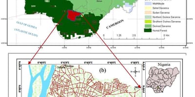 Карта Нігерії із зазначенням поясів рослинності 