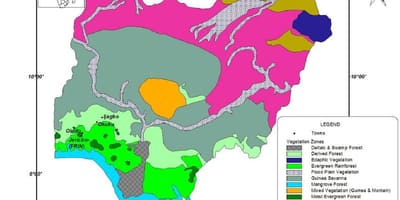 Карта Нігерії із зазначенням рослинності